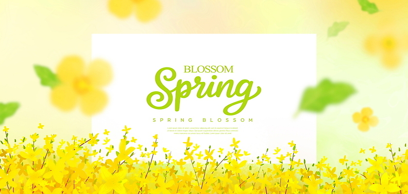 PSD 식물 편집이미지 계절 꽃 컬러 백그라운드 자연 생명 따뜻함 풍경 노란색 봄 성장 봄배경 이미지편집 생태계 파일형식