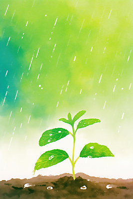 JPG 식물 잎 농업 일러스트 자연 생명 날씨 씨앗 초록색 물 농장 새싹 환경 농사 봄 성장 물방울 땅 뿌리 곡우 수분_꽃가루 국내일러스트 AI일러스트 AI콘텐츠 자연요소 계절 산업 컬러 절기 생태계 파일형식