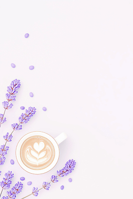 JPG 식물 디자인 커피 음료 음식 일러스트 자연 탁자 디저트 잔 사탕 일상 보라색 카페 중앙 달콤 상차림 향기 라벤더 우유거품 스타일 국내일러스트 식기 꽃 컬러 가구 라이프 상점 거품 맛 허브 생태계 냄새 파일형식