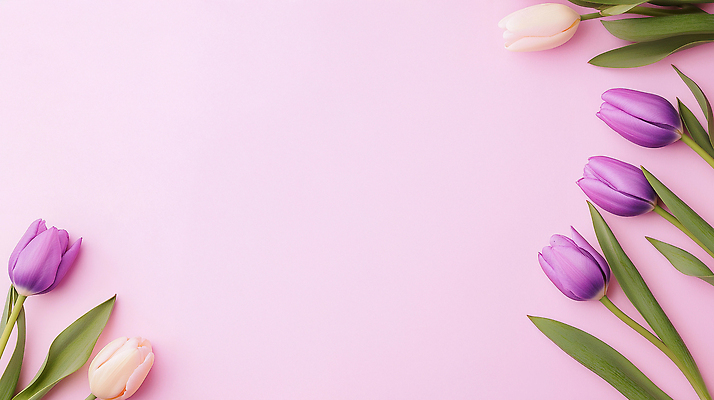 JPG 식물 편집이미지 꽃 화초 분홍색 컬러 백그라운드 잎 자연 장식 여름 보라색 봄 튤립 흰색 꽃꽂이 편집실사 AI포토 AI콘텐츠 계절 CG 생태계 원예 파일형식