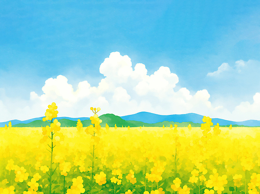 JPG 식물 꽃 컬러 꽃밭 일러스트 자연 산 풍경 초원 노란색 평화 환경 농사 촬영 봄 농촌 유채 흰구름 국내일러스트 AI일러스트 AI콘텐츠 계절 컨셉 농업 시골 생태계 파일형식 구름_자연