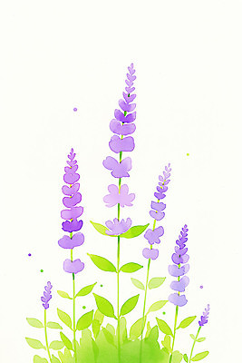 JPG 식물 디자인 계절 꽃 예술 줄기 컬러 백그라운드 잎 일러스트 자연 생명 수채화 보라색 성장 흰색 표현 등나무 등나무꽃 뷰티풀 국내일러스트 AI일러스트 AI콘텐츠 나무 생태계 파일형식