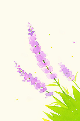 JPG 식물 사계절 꽃 컬러 백그라운드 잎 꽃밭 일러스트 자연 수채화 초록색 정원 보라색 봄 그림 원예 식물원 라벤더 화포 등나무 등나무꽃 밝은색 뷰티풀 국내일러스트 AI일러스트 AI콘텐츠 나무 계절 무기 취미 허브 생태계 파일형식