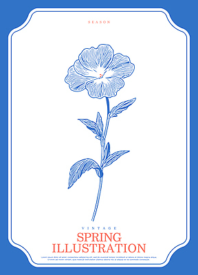 모양 식물 디자인 계절 꽃 예술 선 컬러 백그라운드 일러스트 자연 파란색 봄 빈티지 개화 그림 심플 스타일 국내일러스트 AI파일 컨셉 생태계 파일형식 벡터