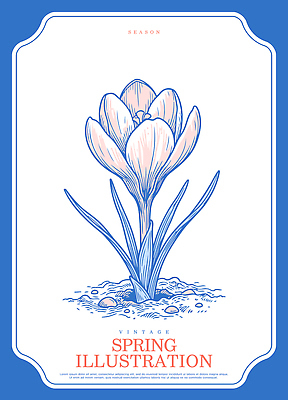 식물 디자인 계절 꽃 컬러 잎 일러스트 자연 생명 풍경 정원 흙 봄 성장 빈티지 뿌리 사프란 국내일러스트 AI파일 컨셉 향신료 생태계 파일형식 벡터