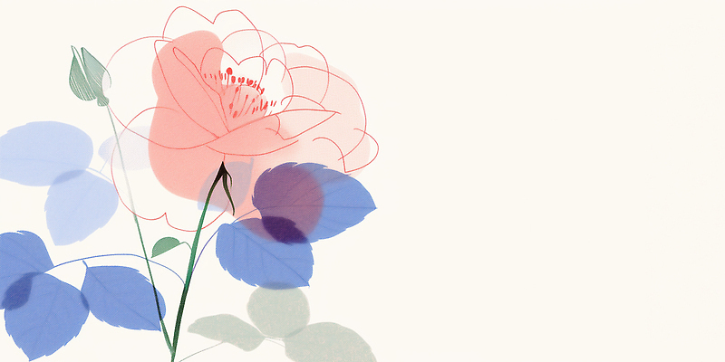 JPG 모양 식물 디자인 꽃 예술 선 분홍색 컬러 백그라운드 잎 일러스트 자연 그래픽 장식 파란색 장미 감각 심플 조화 뷰티풀 국내일러스트 AI일러스트 AI콘텐츠 생태계 파일형식