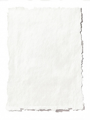 JPG 나무 편집이미지 종이 재료 탁자 깨끗함 흰색 기록 메모지 작업 가장자리 그림 질감 놓기 비어있는 편집실사 AI컴퓨터그래픽 AI콘텐츠 식물 컬러 가구 컨셉 모션 사무용품 둘레 CG 파일형식