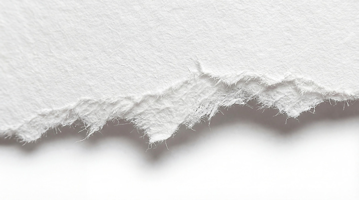 JPG 모양 편집이미지 디자인 종이 자연 흰색 면류 크기 경계 그림 질감 문서 찢어짐 섬유 발견 불규칙 편집실사 AI컴퓨터그래픽 AI콘텐츠 음식 컬러 컨셉 모션 직물 CG 생태계 파일형식