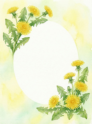 JPG 식물 디자인 꽃 예술 컬러 백그라운드 일러스트 자연 수채화 프레임 장식 연두색 노란색 봄 공백 흰색 면류 민들레 그림 국내일러스트 계절 음식 초록색 생태계 파일형식