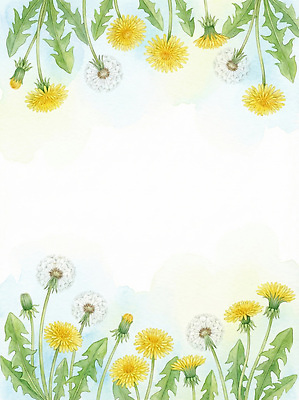 JPG 식물 디자인 계절 꽃 예술 컬러 백그라운드 일러스트 자연 수채화 프레임 잔디 초원 여름 노란색 산책 산책로 흰색 민들레 그림 원예 국내일러스트 AI일러스트 AI콘텐츠 길 휴식 취미 생태계 파일형식