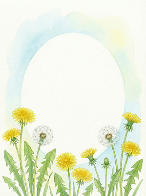 JPG 모양 식물 디자인 계절 꽃 화초 백그라운드 일러스트 자연 수채화 프레임 미술 잔디 노란색 성장 흰색 원형 민들레 그림 국내일러스트 AI일러스트 AI콘텐츠 도형 컬러 문화예술 생태계 파일형식