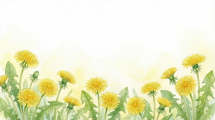 JPG 식물 꽃 꽃밭 일러스트 자연 생명 수채화 프레임 풍경 초원 여름 농장 노란색 공백 수확 민들레 꽃집 생태계 식물원 길가 국내일러스트 계절 컬러 농업 상점 파일형식