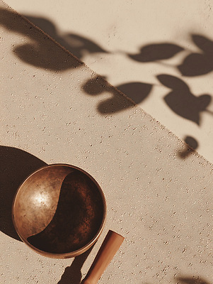 JPG 나무 식물 편집이미지 그릇 재료 자연 탁자 나뭇잎 그림자 장식 빛 촬영 소리 도구 질감 싱잉볼 편집실사 AI포토 AI콘텐츠 식기 가구 잎 불교용품 CG 생태계 파일형식