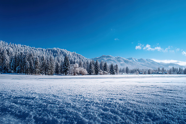 JPG 나무 편집이미지 겨울 자연 하늘 산 거리 풍경 초원 야외 축복 차가움 숲 수목 설산 편집실사 AI포토 AI콘텐츠 식물 계절 컨셉 CG 생태계 파일형식