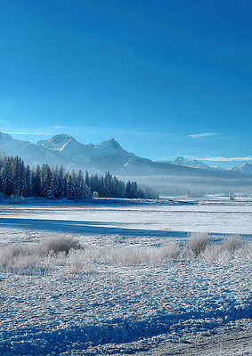 JPG 나무 편집이미지 겨울 자연 산 풍경 강 수면 숲 고산지대 수목 흰눈 설산 편집실사 AI포토 AI콘텐츠 식물 계절 눈_날씨 물 CG 생태계 파일형식