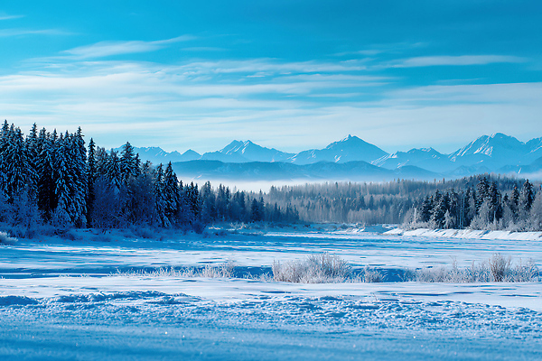 JPG 나무 편집이미지 겨울 자연 하늘 산 풍경 강 얼음 흰색 차가움 숲 설산 편집실사 AI포토 AI콘텐츠 자연요소 식물 계절 컬러 CG 생태계 파일형식