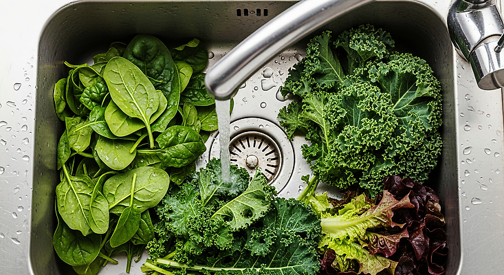 JPG 편집이미지 채소 재료 건강 요리 물 주방 식사 흐름 신선 양상추 씻기 재료손질 싱크대 준비 시금치 케일 편집실사 AI포토 AI콘텐츠 자연요소 컨셉 청결 CG 개수대 손질 파일형식