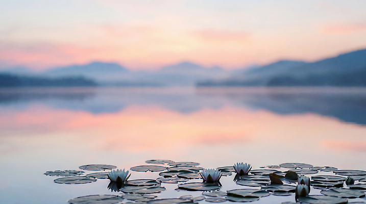 JPG 식물 편집이미지 호수 컬러 자연 하늘 아침 휴식 산 연꽃 풍경 물 반사 일출 고요 수면 조용 편집실사 AI포토 AI콘텐츠 주간 자연요소 꽃 컨셉 노을 CG 생태계 파일형식
