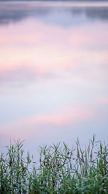 JPG 식물 편집이미지 호수 컬러 자연 하늘 생명 풍경 여름 파란색 고요 일몰 물가 저녁 편집실사 AI포토 AI콘텐츠 계절 노을 야간 CG 생태계 파일형식