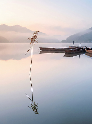 JPG 식물 편집이미지 호수 자연 하늘 아침 산 풍경 물 강 반사 수중 고요 수면 차분 편집실사 AI포토 AI콘텐츠 주간 자연요소 컨셉 CG 생태계 파일형식