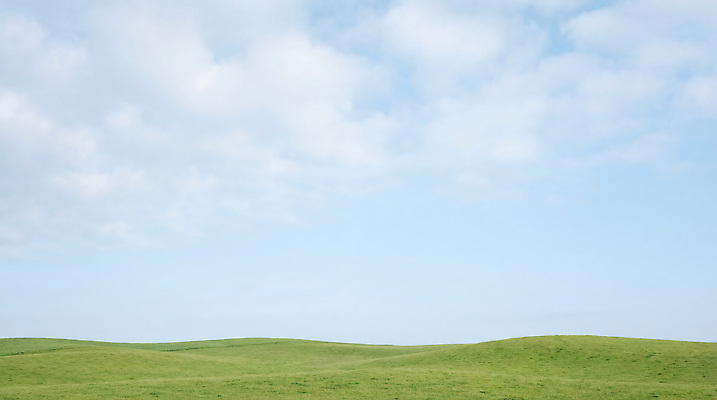 JPG 편집이미지 자연 하늘 날씨 휴식 풍경 잔디 초원 일상 파란색 환경 시골 지평선 편집실사 AI포토 AI콘텐츠 식물 컬러 컨셉 라이프 CG 생태계 파일형식