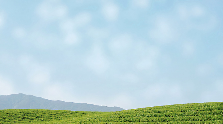 JPG 주간 편집이미지 백그라운드 자연 하늘 산 풍경 초원 여름 환경 촬영 언덕 지역 편집실사 AI포토 AI콘텐츠 자연요소 계절 CG 생태계 파일형식