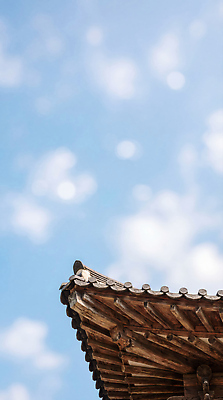 JPG 나무 편집이미지 전통 건축물 외관 문화 하늘 지붕 날씨 한옥 한국 풍경 공간 역사 공예 편집실사 AI포토 AI콘텐츠 식물 한국전통 건축 아시아 고건축 취미 CG 파일형식