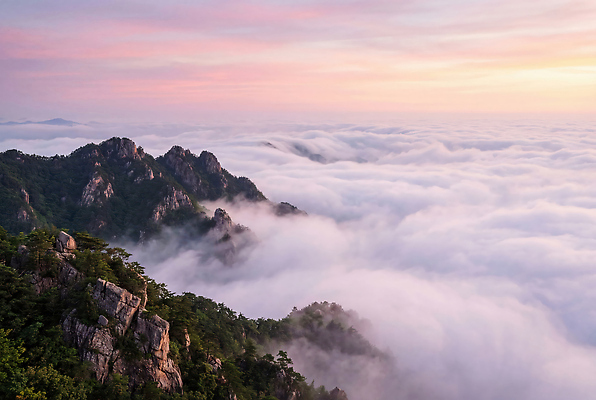 JPG 나무 구름 편집이미지 여행 자연 하늘 산 풍경 일출 탐험 기상 일기 정상 자동차여행 편집실사 AI포토 AI콘텐츠 자연요소 식물 모션 노을 CG 생태계 파일형식