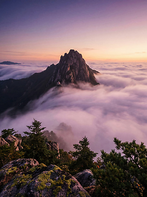 JPG 나무 구름 편집이미지 여행 백그라운드 자연 하늘 아침 바람 산 풍경 태양 일출 높이 편집실사 AI포토 AI콘텐츠 주간 자연요소 식물 날씨 노을 CG 생태계 파일형식