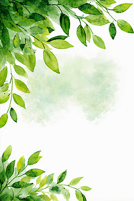 JPG 모양 식물 디자인 화초 예술 컬러 백그라운드 잎 일러스트 자연 생명 수채화 프레임 장식 초록색 여름 공간 그리기 그림 원예 스타일 국내일러스트 AI일러스트 AI콘텐츠 계절 모션 취미 생태계 파일형식