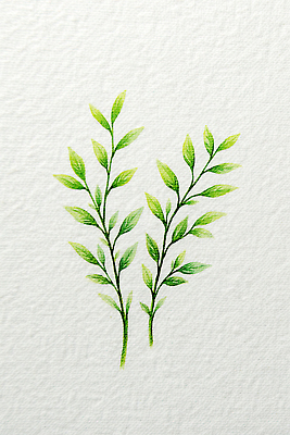 JPG 식물 디자인 종이 예술 줄기 잎 일러스트 자연 수채화 프레임 초록색 그리기 그림 손그림 자연물 창작 국내일러스트 AI일러스트 AI콘텐츠 컬러 모션 생태계 파일형식