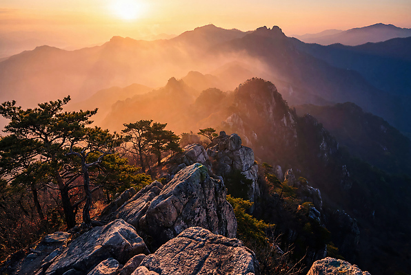 JPG 나무 편집이미지 자연 아침 산 거리 풍경 햇빛 태양 일출 안개 봉우리 뷰티풀 편집실사 AI포토 AI콘텐츠 주간 자연요소 식물 날씨 노을 CG 생태계 파일형식