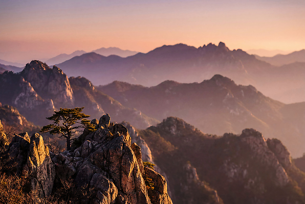 JPG 나무 편집이미지 자연 하늘 아침 날씨 산 풍경 야외 햇빛 계곡 고요 등산 편집실사 AI포토 AI콘텐츠 주간 식물 태양 트래킹 CG 생태계 파일형식