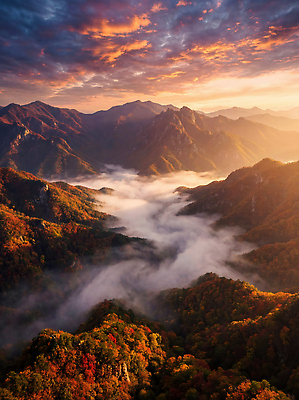 JPG 나무 편집이미지 여행 자연 하늘 산 풍경 빨간색 빛 일출 계곡 소리 안개 편집실사 AI포토 AI콘텐츠 식물 컬러 날씨 노을 CG 생태계 파일형식