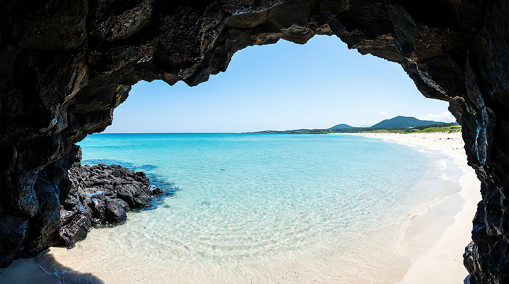 JPG 나무 편집이미지 파도 바다 여행 자연 하늘 산 풍경 해변 제주도 맑음 동굴 수평선 편집실사 AI포토 AI콘텐츠 식물 날씨 한국 CG 생태계 파일형식