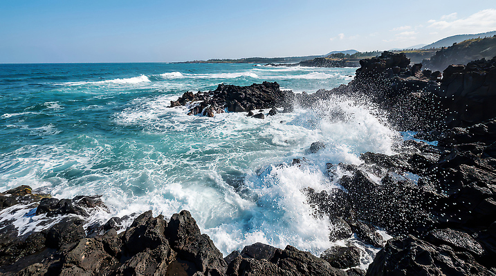 JPG 나무 편집이미지 파도 바다 여행 자연 하늘 산 풍경 해변 물 여름 제주도 소리 편집실사 AI포토 AI콘텐츠 자연요소 식물 계절 한국 CG 생태계 파일형식