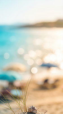 JPG 편집이미지 물결 모래 바다 모션 자연 물놀이 휴가 휴식 풍경 여러명 해변 여름 햇빛 즐거움 편집실사 AI포토 AI콘텐츠 계절 감정 다수 컨셉 놀이 사람 태양 CG 생태계 파일형식