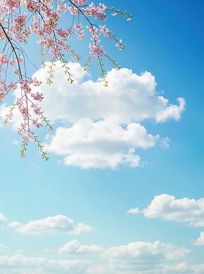 JPG 나무 식물 편집이미지 꽃잎 꽃 잎 자연 하늘 날씨 풍경 봄 벚꽃 나뭇가지 대기 편집실사 AI컴퓨터그래픽 AI콘텐츠 계절 CG 생태계 파일형식