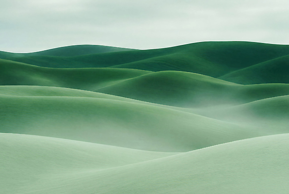 JPG 편집이미지 자연 하늘 바람 날씨 풍경 초원 초록색 공간 수확 땅 언덕 지역 흐림 이미지편집 AI컴퓨터그래픽 AI콘텐츠 자연요소 컬러 농업 생태계 파일형식