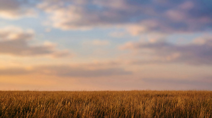 자연요소 산업 날씨 빛 밤 야간 CG 생태계 파일형식 AI콘텐츠 초원 하늘 저녁 자연 풍경 햇빛 지평선 컬러 땅 농업 계절 바람 편집실사 편집이미지 JPG AI포토