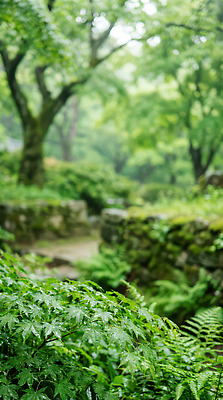 JPG 나무 식물 편집이미지 길 잎 자연 이끼 초록색 환경 소리 산책 습기 물방울 봄비 숲 편집실사 AI컴퓨터그래픽 AI콘텐츠 컬러 휴식 봄 비_날씨 CG 생태계 파일형식
