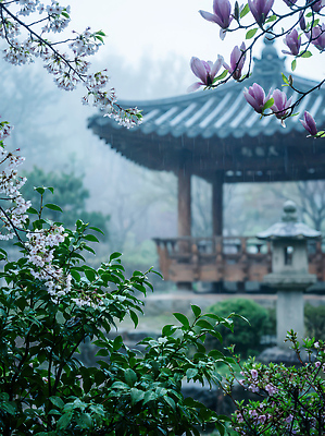 JPG 나무 편집이미지 꽃 여유 자연 날씨 나뭇잎 한옥 풍경 정원 물방울 봄비 조용 차분 편집실사 AI컴퓨터그래픽 AI콘텐츠 식물 한국전통 감정 컨셉 고건축 잎 봄 비_날씨 CG 생태계 파일형식