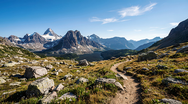 식물 모션 CG 생태계 파일형식 AI콘텐츠 산 길 하늘 탐험 걷기 오후 돌_바위 꽃 풍경 자연 주말 여행 편집실사 편집이미지 JPG AI포토