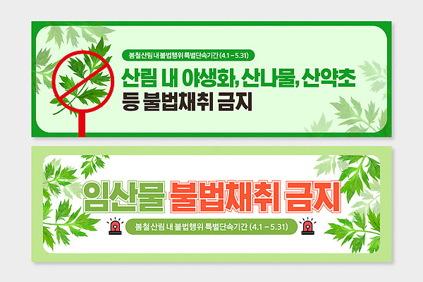 템플릿 배너 배너템플릿 생물 안내 관리 환경 들꽃 금지 보호 약초 숲 4월 5월 수집 자원 기간 불법 산나물 임산물 AI파일 꽃 컨셉 풀_식물 날짜 범죄 나물 파일형식 벡터