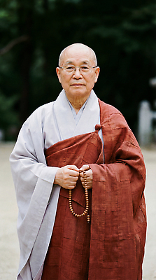 JPG 나무 편집이미지 전통 손 옷 문화 자연 고요 공간 부처님오신날 기도 절 승려 구슬 의료성형뷰티 편집실사 AI인물포토 AI콘텐츠 식물 기념일 신체부위 인사 성직자 CG 생태계 파일형식 AI포토