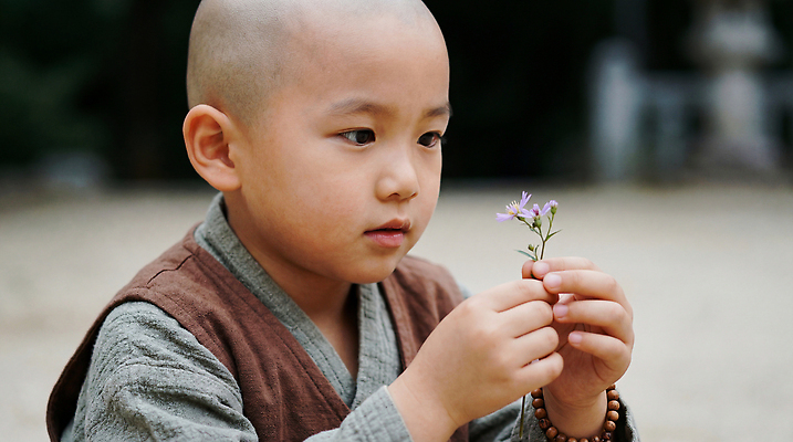 JPG 나무 편집이미지 손 꽃 어린이 컬러 자연 소년 정원 감상 돌_바위 관찰 절 전통의상 동자승 순간 의료성형뷰티 편집실사 AI인물포토 AI콘텐츠 식물 전통 남자 모션 사람 신체부위 인사 승려 CG 생태계 파일형식 AI포토