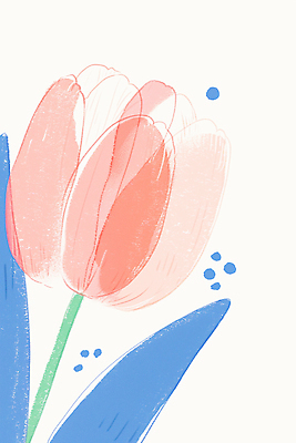 JPG 모양 식물 디자인 꽃 예술 선 분홍색 컬러 백그라운드 잎 일러스트 자연 수채화 장식 파란색 튤립 색칠 그림 드로잉 국내일러스트 AI일러스트 AI콘텐츠 미술 생태계 파일형식