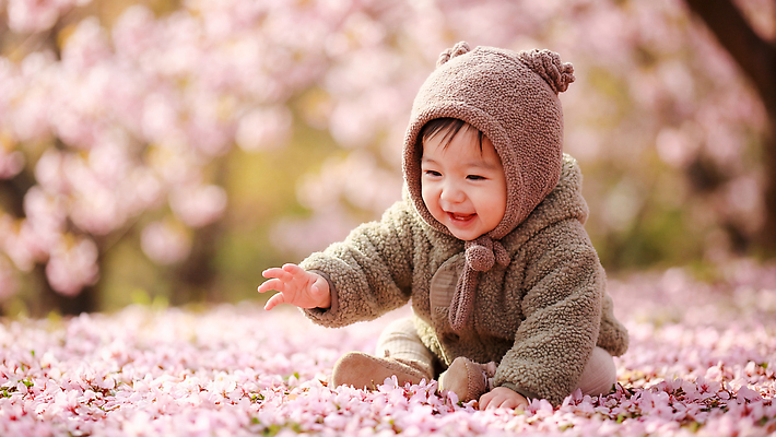 계절 꽃 컨셉 관계 표정 사람 축제 벚꽃 생태계 꽃축제 파일형식 AI포토 아기 봄 꽃잎 놀이 웃음 귀여움 벚꽃축제 자연 풍경 가족 어린이 촬영 소중 편집이미지 JPG 의료성형뷰티 AI인물포토 AI콘텐츠