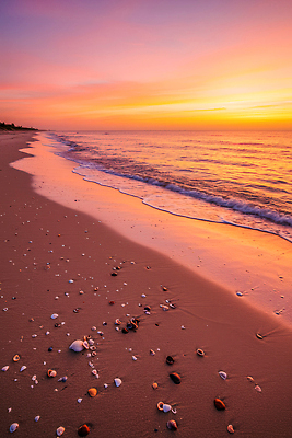JPG 편집이미지 물결 파도 바다 자연 하늘 조개 풍경 해변 여름 모래사장 태양 일몰 저녁 편집실사 AI컴퓨터그래픽 AI콘텐츠 자연요소 계절 어패류 노을 야간 CG 생태계 파일형식