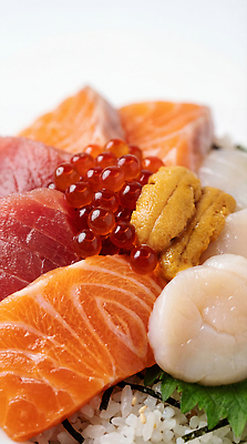 JPG 편집이미지 접시 음식 어류 요리 식사 초밥 해물요리 신선 참치 해산물 연어 해삼 광어 일본음식 카이센동 편집실사 AI포토 AI콘텐츠 식기 수중동물 CG 덮밥 파일형식